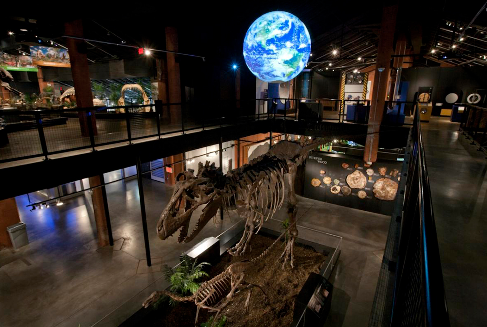 Read more about the article Houston Museum of Natural Science, Promoting Safe Evacuation for all Patrons.
